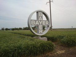 �������� �������